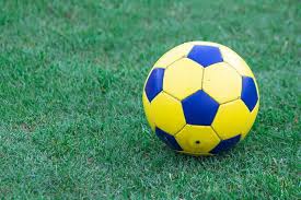 红单足彩使用流程示意图